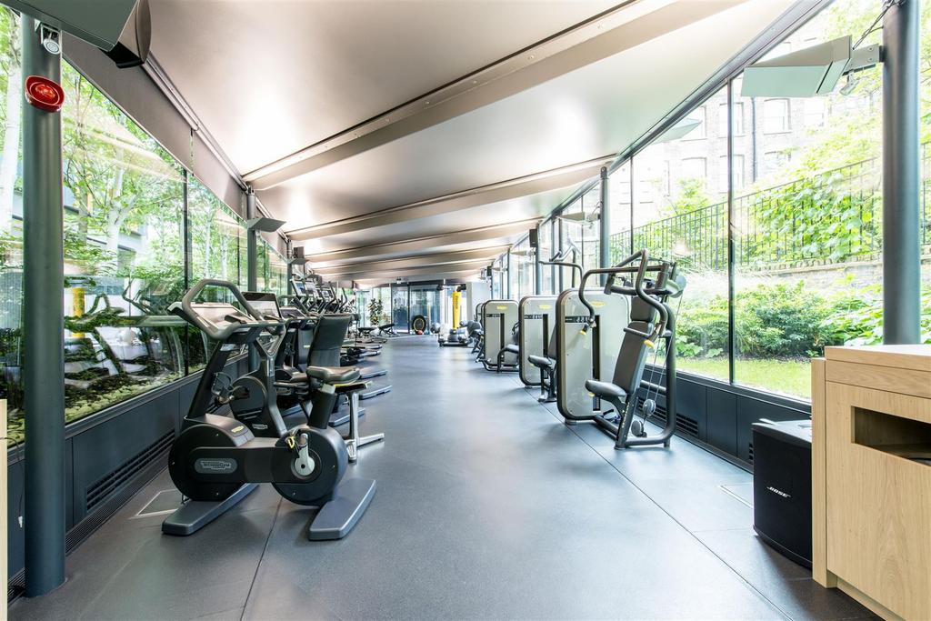 Gymnasium.jpg