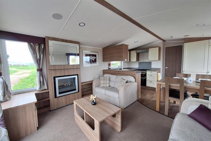 Swift Bordeaux