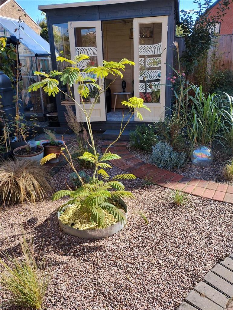 Garden 1.jpg