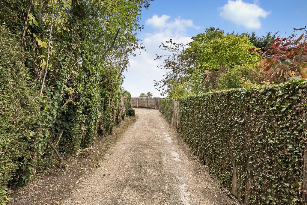 Driveway