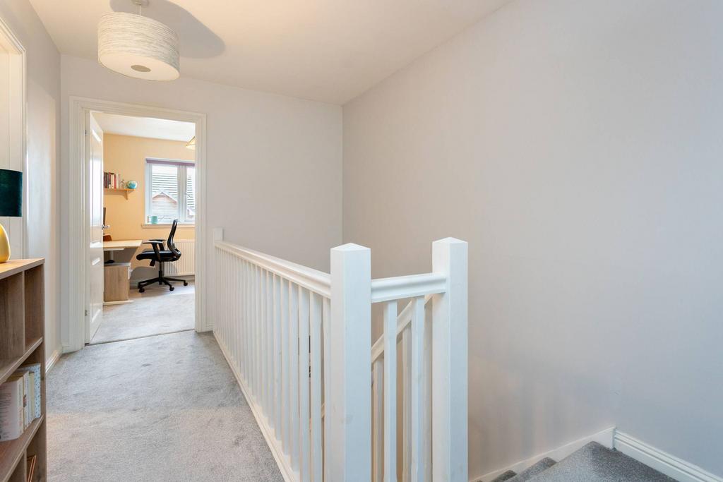 MFL7242849 567.jpg