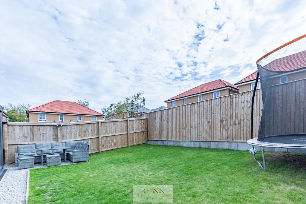 Back garden 1.1