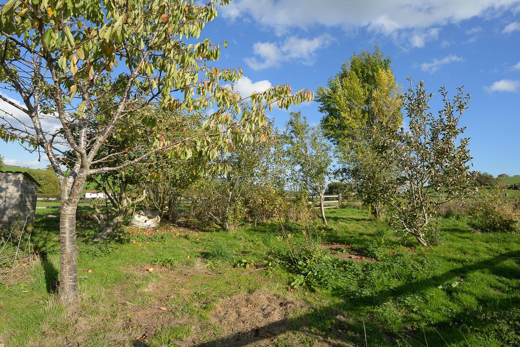 Wayside-35