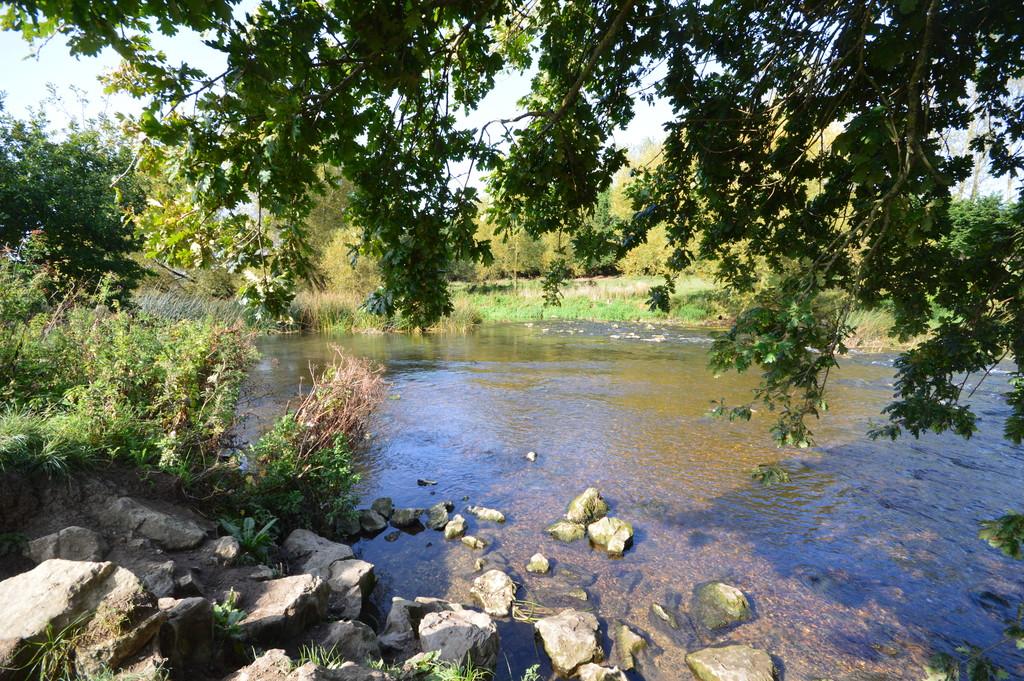 River7