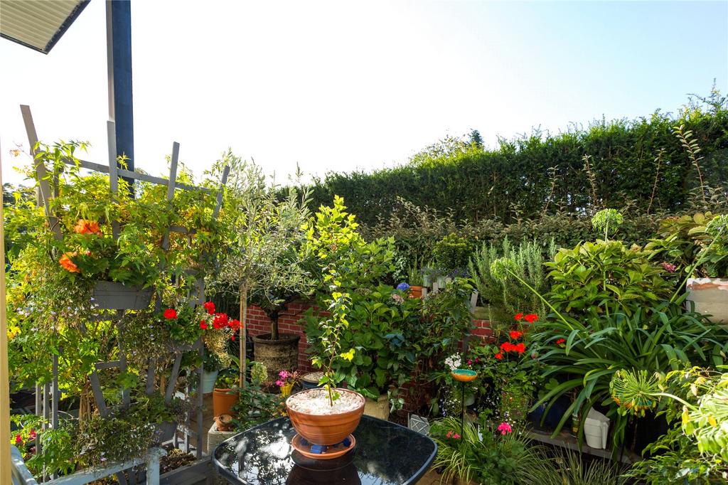Patio/Terrace
