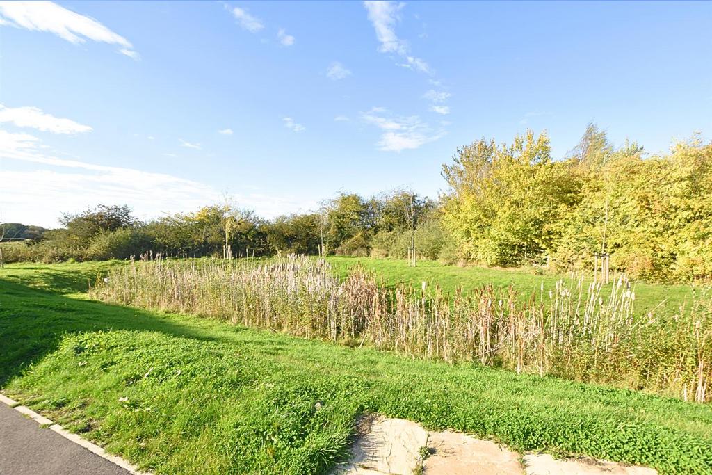 Pond view