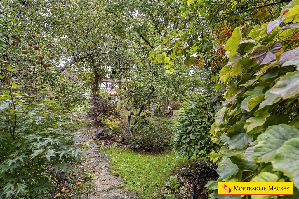 9 65041 watermarked.jpg