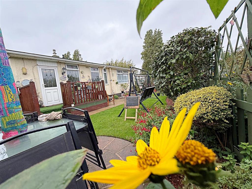 Back garden