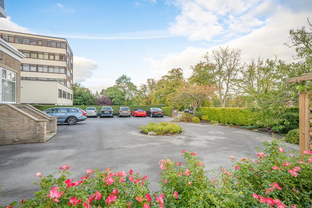 Picture No. 21