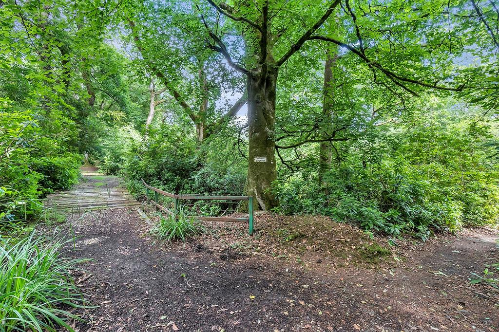 Woodland