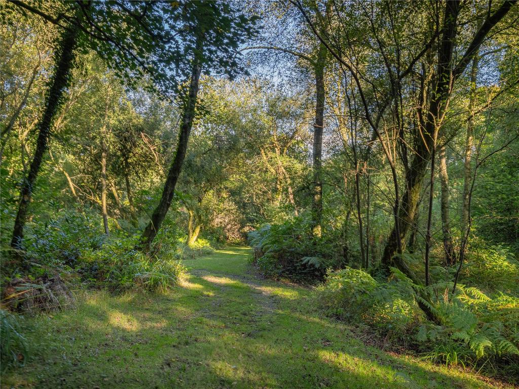Woodland
