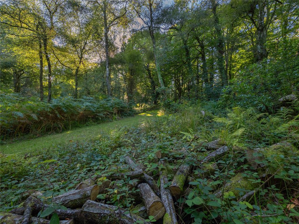 Woodland