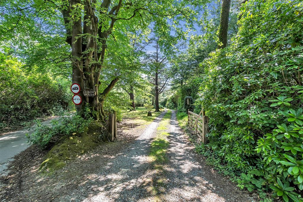 Woodland