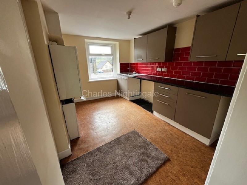 Lower Floor Kitchen