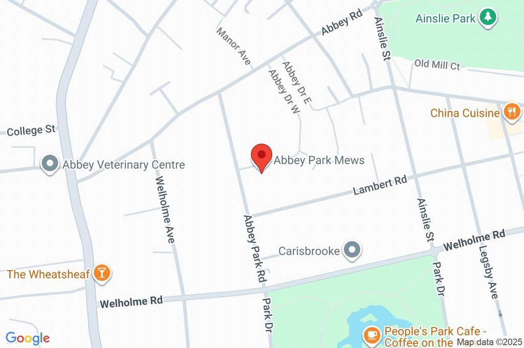 Google Maps Image