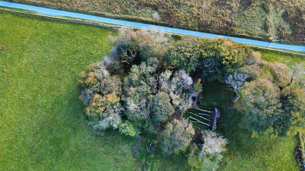 Dji fly 20250923 180110 890 1758704139340 photo op