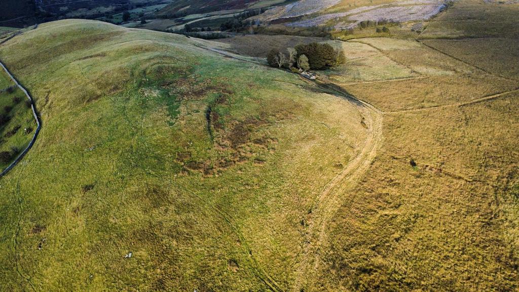 The land