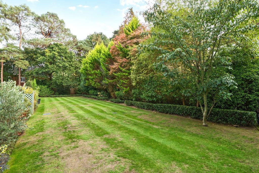 Picture No. 07