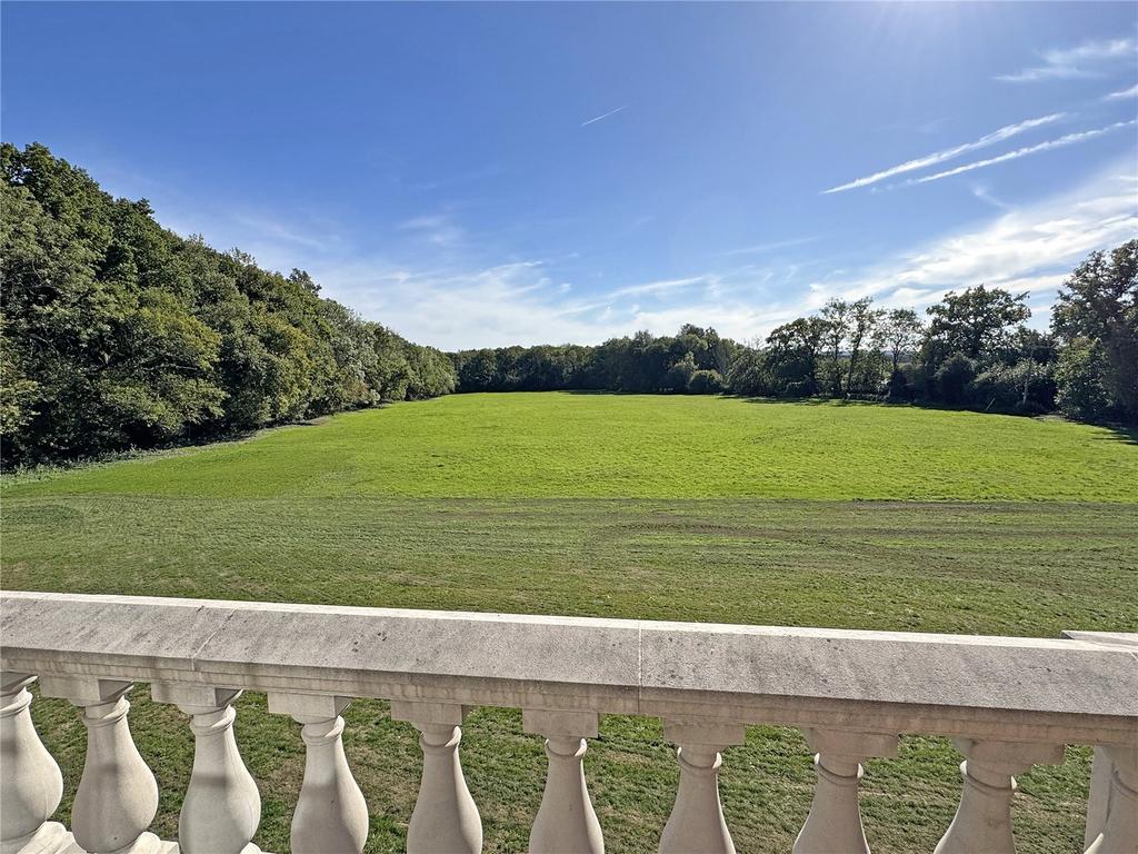 View From Guest