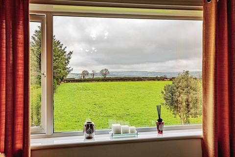 undefined, Newcastle Emlyn SA38