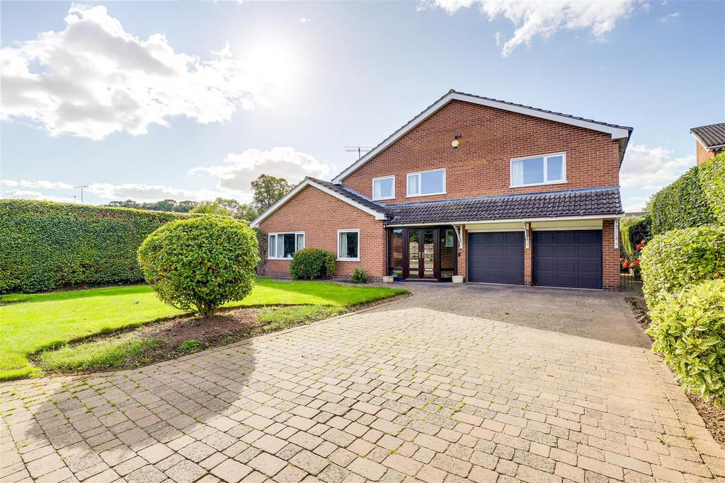 IMG 8094-IMG 8098.jpg