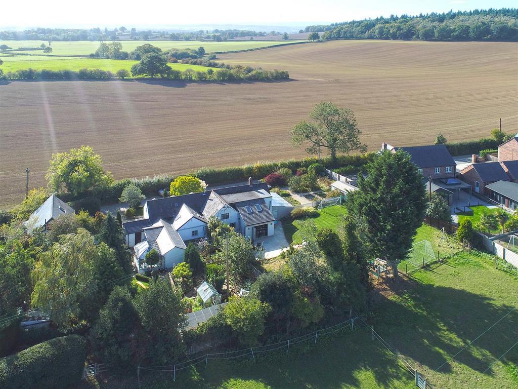 Dji 0003.jpg