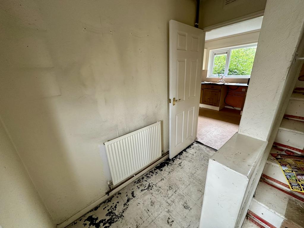 IMG 2981 T202507282242.jpeg