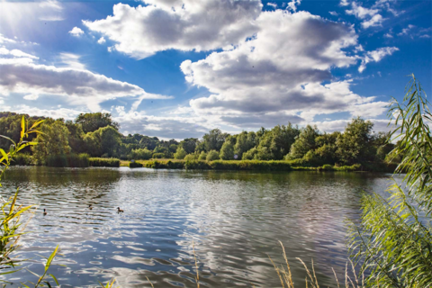 2 bedroom apartment to rent, 12 Thames Bank, Goring on Thames, RG8