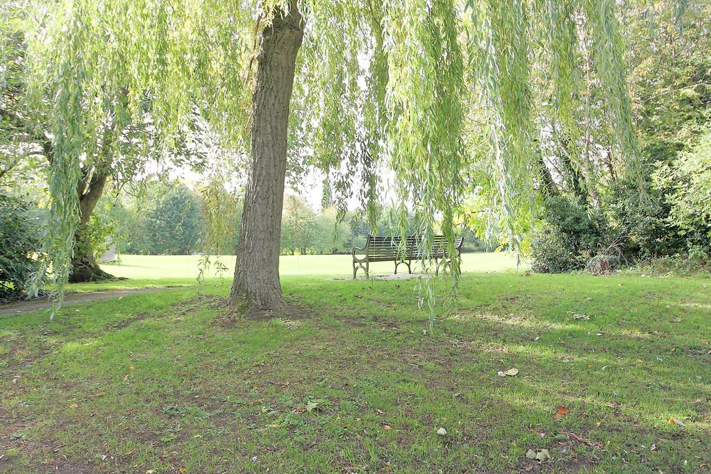 IMG 0684 Dx O