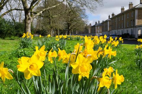 undefined, Plot 24 at Poundbury, Poundbury, Dorchester DT1