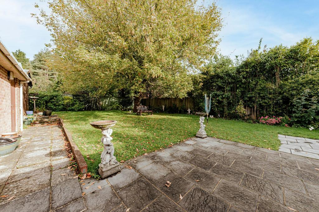 Garden (2)