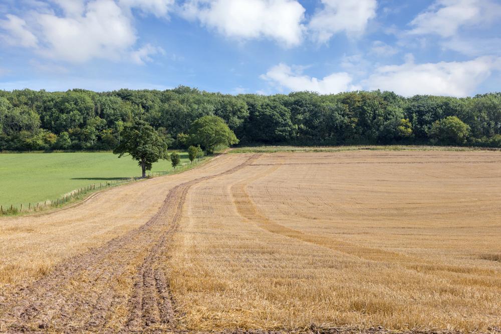Land