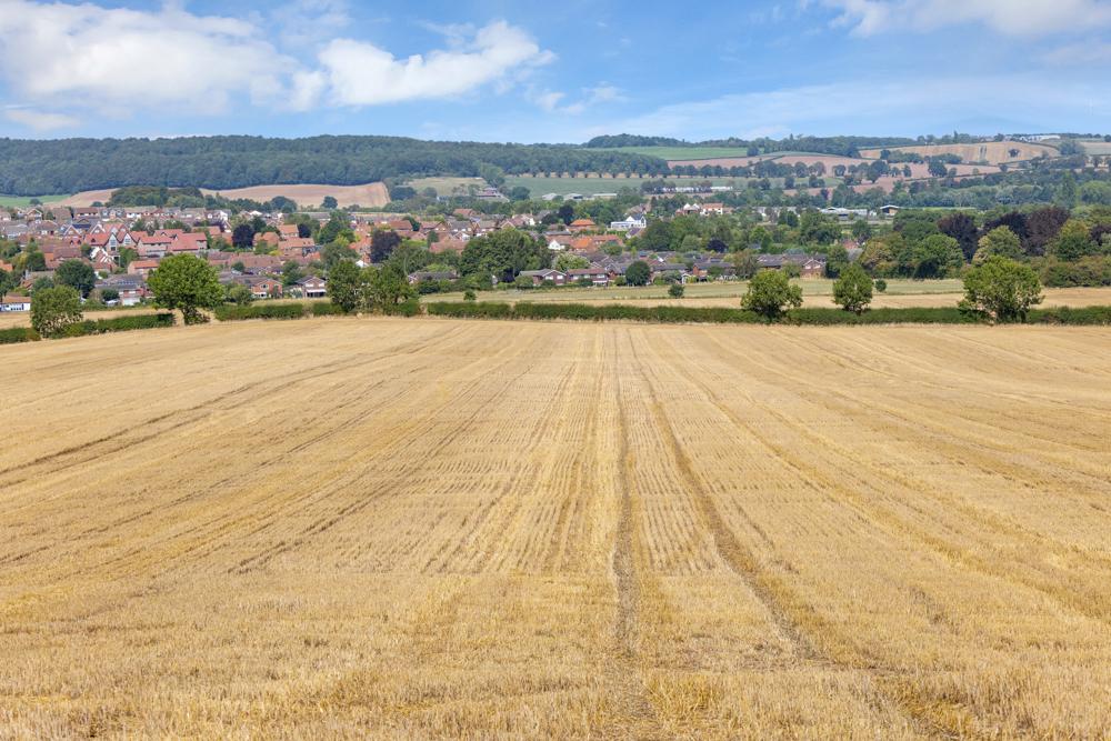 Land