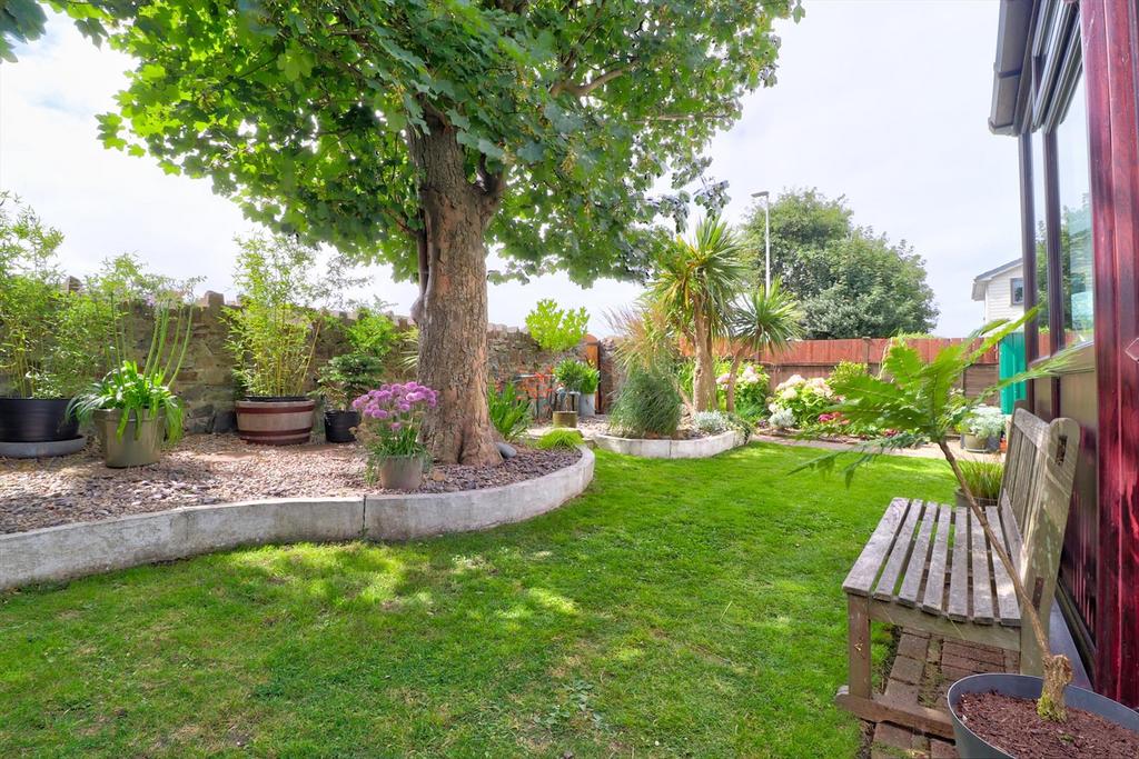 Rear garden ii.jpg