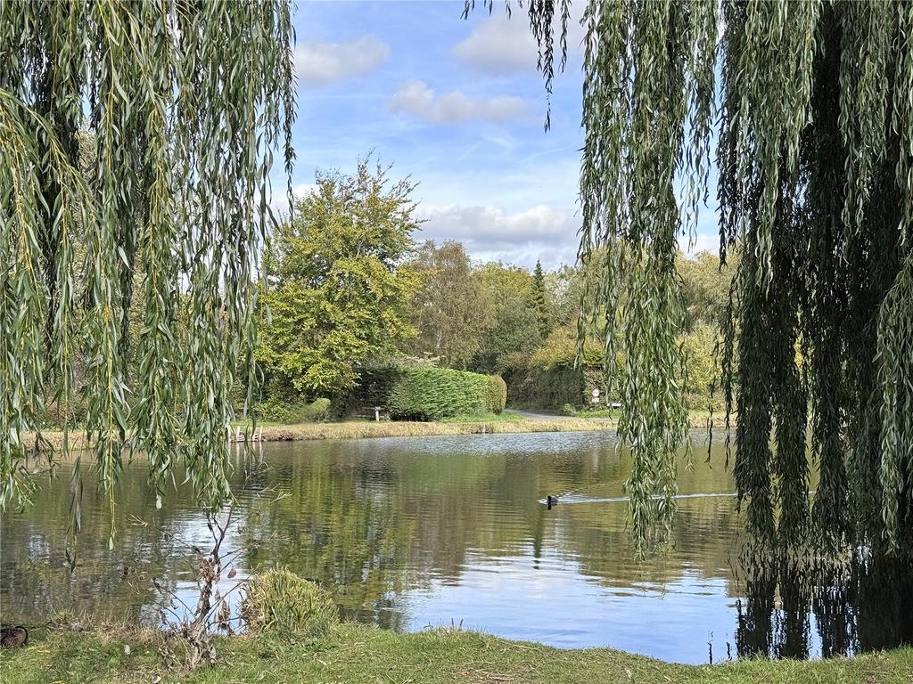 Pond