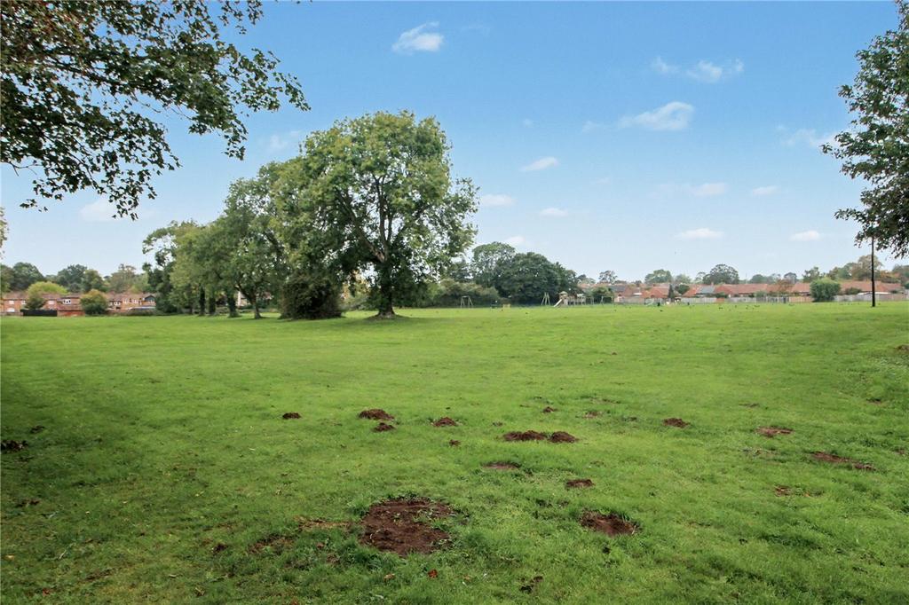 Nearby Green