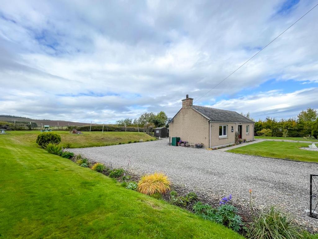 Gardens, Driveway &amp; Parking