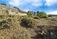St Marys Road, Darfield photo 5