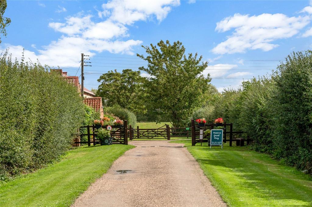 Driveway