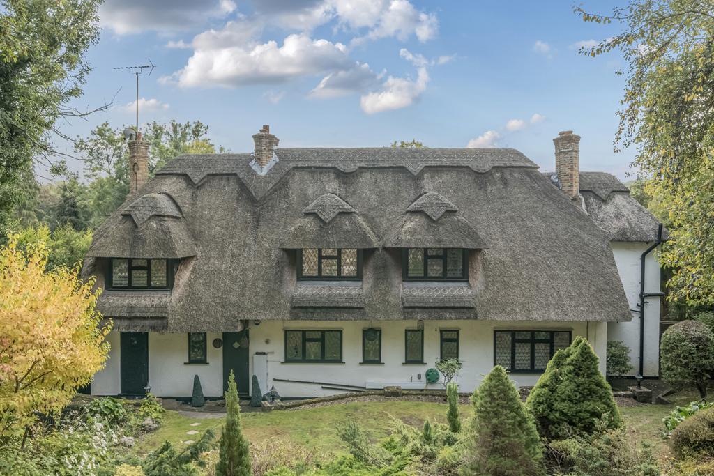 1350960-49-68dd57...