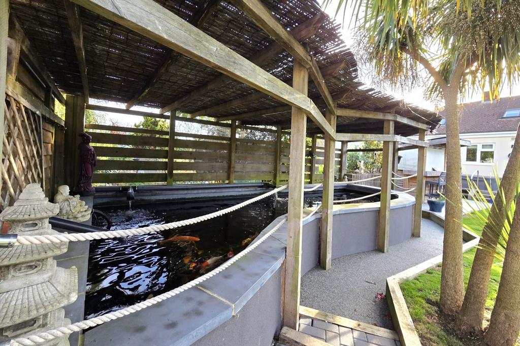 Pond