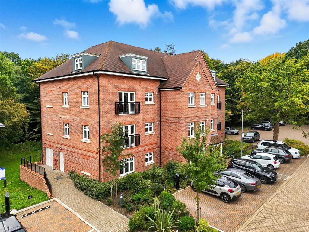 Dji 20241231120911 0605 d.jpg