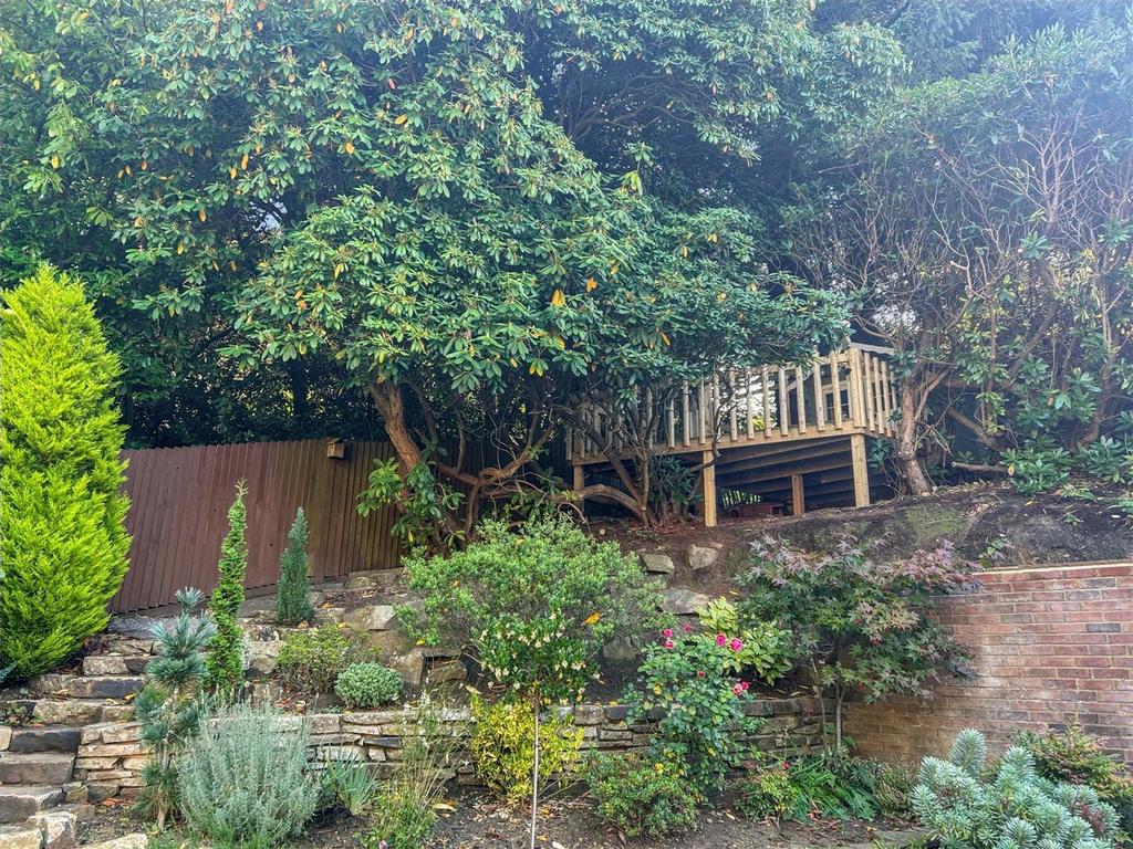 Tree House.jpg