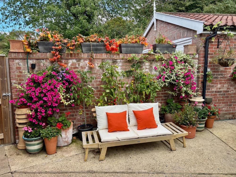 Back garden.jpg