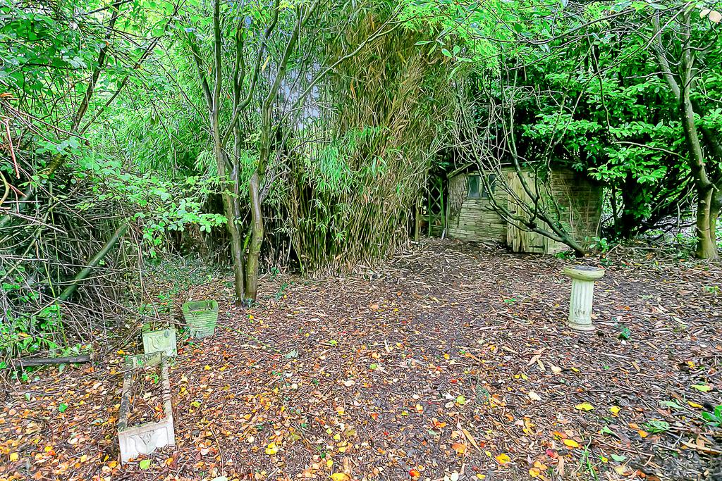 5 K6 A9532 T202510070948.jpg