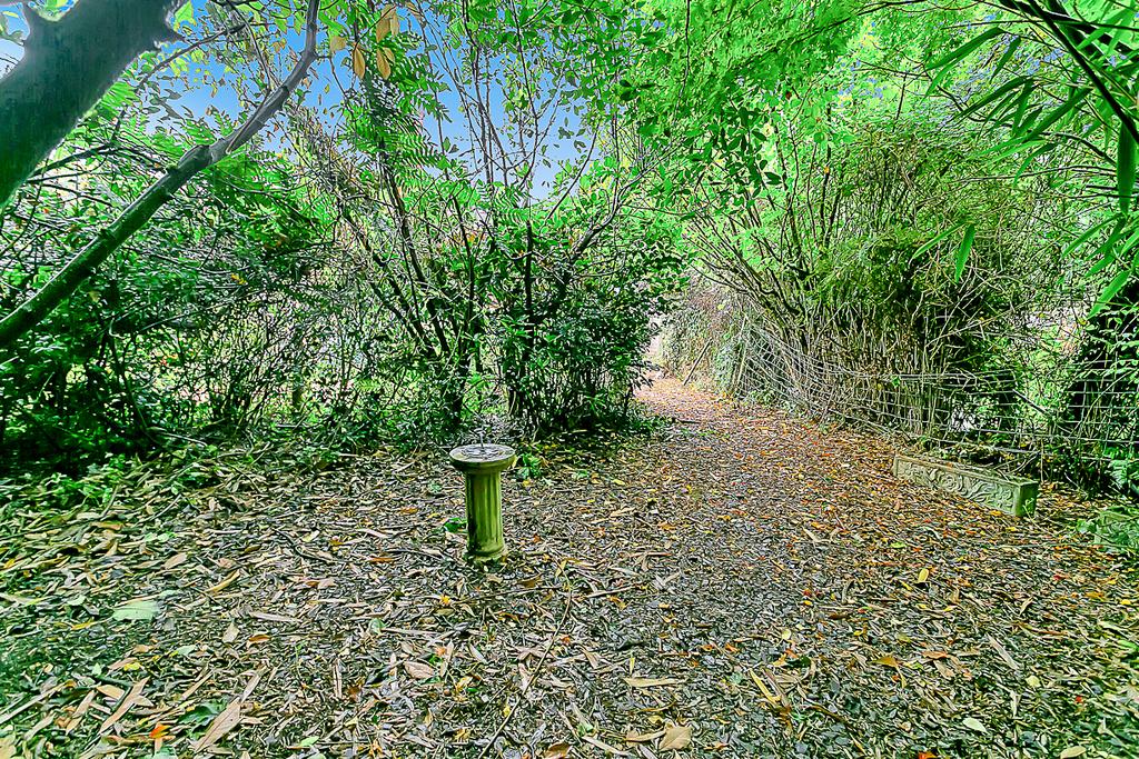 5 K6 A9538 T202510070948.jpg