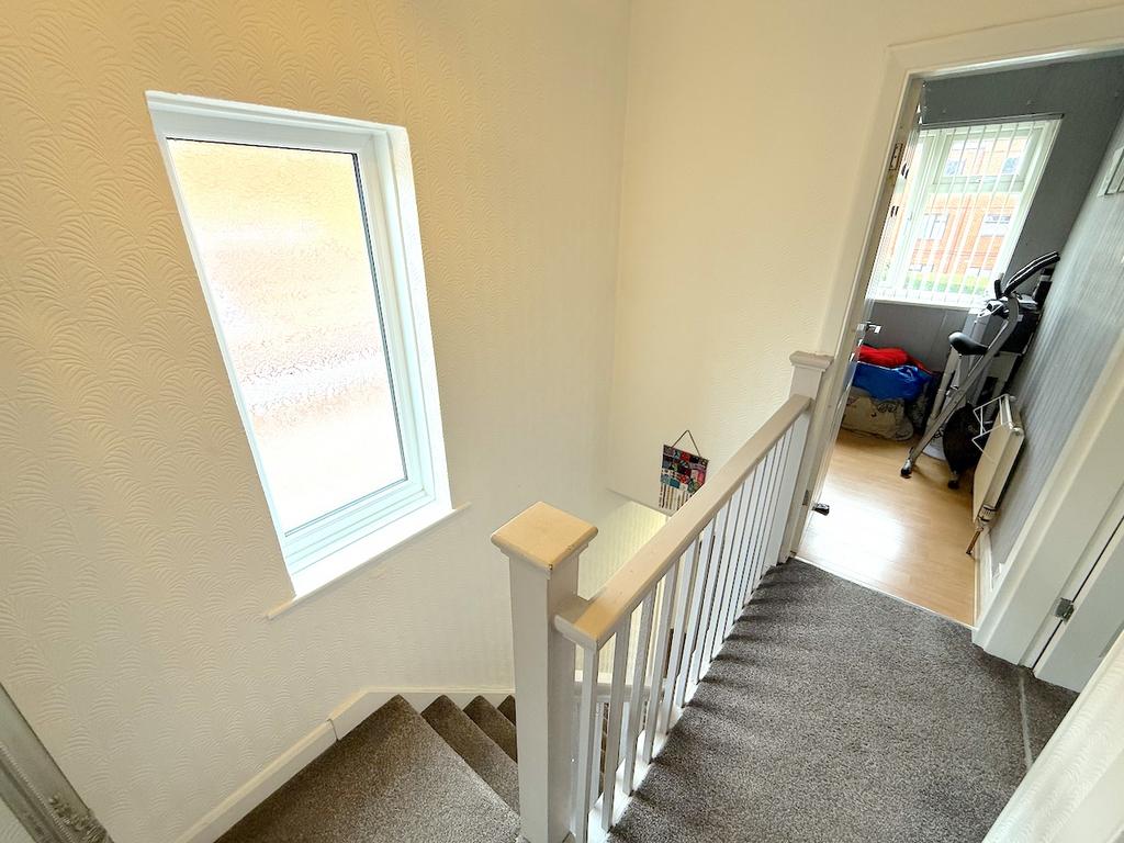 IMG 2367.jpeg
