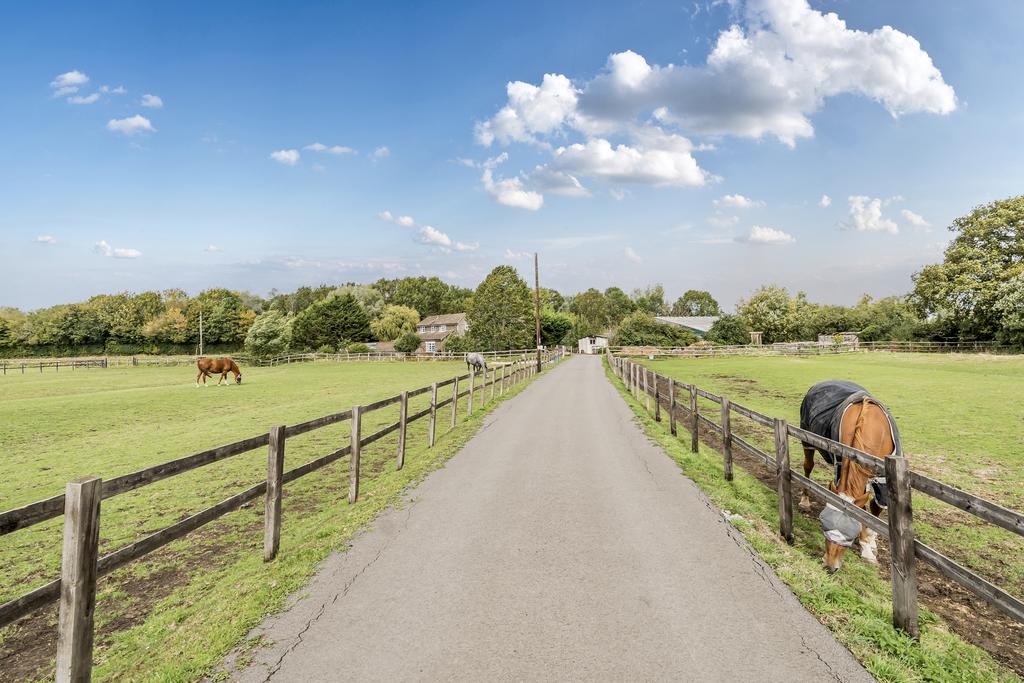 13500502268c2c4d9ad53a