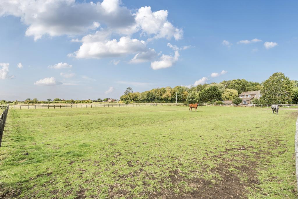 13500502068c2c4c1de430