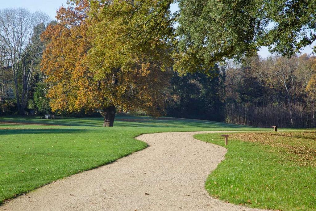 Communal Grounds